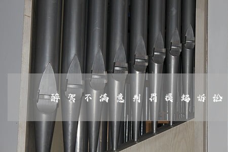 醉驾不满意判罚提起诉讼 醉驾不满意判罚提起诉讼