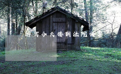 醉驾今天接到法院传票 醉驾今天接到法院传票