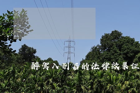 醉驾入刑后的法律效果证伪 醉驾入刑后的法律效果证伪