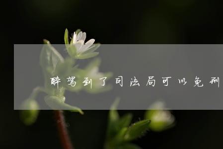 醉驾到了司法局可以免刑吗 醉驾到了司法局可以免刑吗