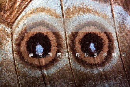 醉驾到法院判应多长时间 醉驾到法院判应多长时间