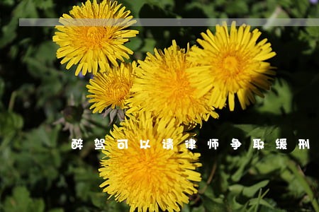 醉驾可以请律师争取缓刑吗 醉驾可以请律师争取缓刑吗