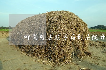 醉驾司法程序后到法院开庭