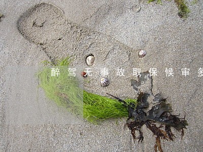 醉驾无事故取保候审多久开庭 醉驾无事故取保候审多久开庭