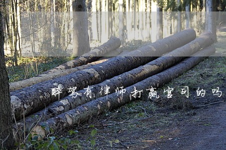 醉驾有律师打赢官司的吗 醉驾有律师打赢官司的吗