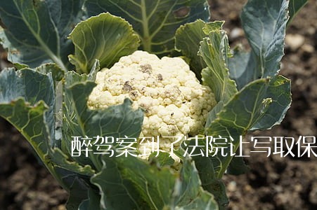 醉驾案到了法院让写取保候审材料 醉驾案到了法院让写取保候审材料