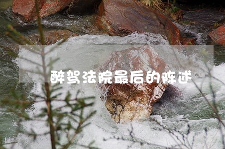 醉驾法院最后的陈述 醉驾法院最后的陈述