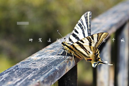醉驾法院要车辆信息干嘛 醉驾法院要车辆信息干嘛