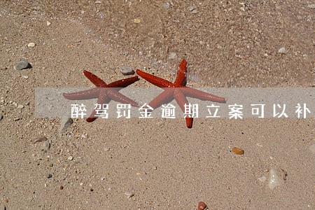 醉驾罚金逾期立案可以补交吗 醉驾罚金逾期立案可以补交吗