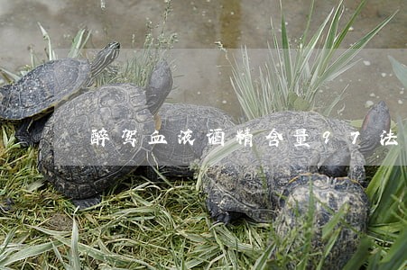 醉驾血液酒精含量97法院怎么判 醉驾血液酒精含量97法院怎么判
