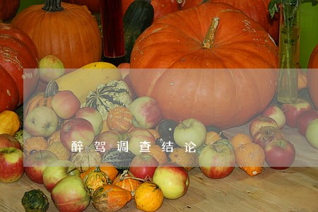 醉驾调查结论 醉驾调查结论