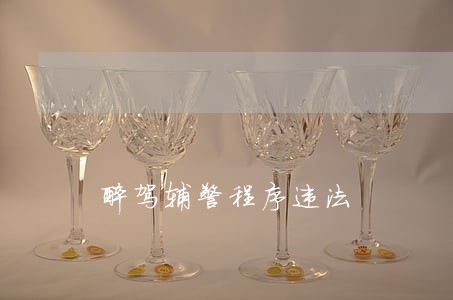 醉驾辅警程序违法 醉驾辅警程序违法