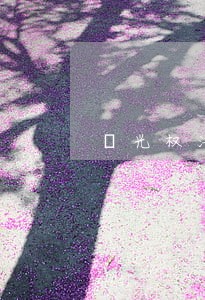釆光权法律条文 釆光权法律条文