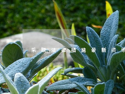 采取法律措施最新资讯 采取法律措施最新资讯