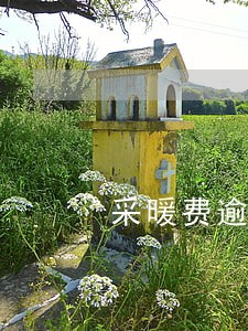 采暖费逾期半年 采暖费逾期半年