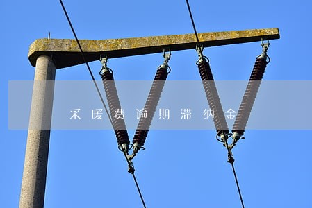 采暖费逾期滞纳金 采暖费逾期滞纳金