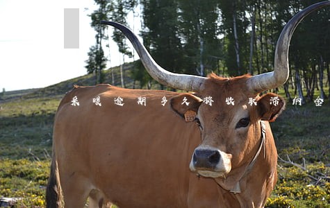 采暖逾期多久将收取滞纳金 采暖逾期多久将收取滞纳金