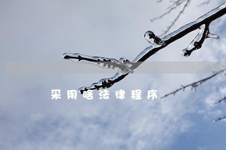 采用啥法律程序 采用啥法律程序