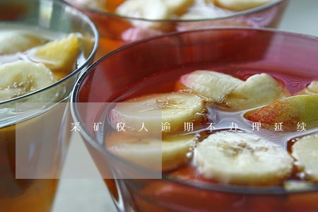 采矿权人逾期不办理延续登记