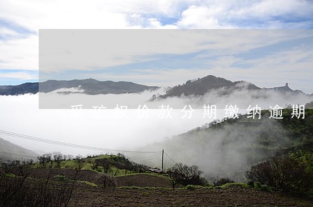 采矿权价款分期缴纳逾期