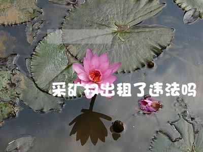采矿权出租了违法吗