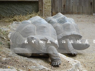 采矿权属争议法院是否受理 采矿权属争议法院是否受理