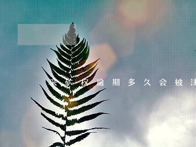 采矿权逾期多久会被注销