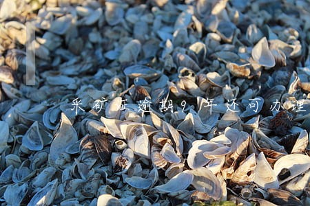 采矿证逾期9年还可办理延续吗 采矿证逾期9年还可办理延续吗