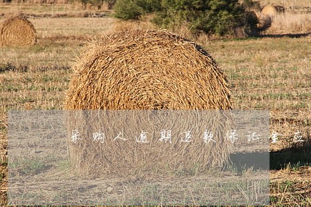 采购人逾期退款保证金应 采购人逾期退款保证金应