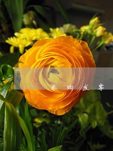 采购发票逾期损失计算 采购发票逾期损失计算