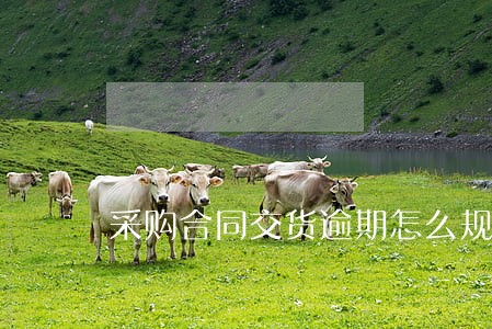 采购合同交货逾期怎么规定