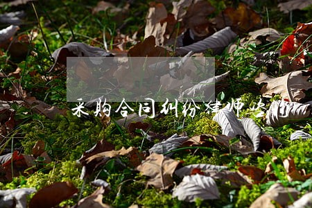 采购合同纠纷律师咨询 采购合同纠纷律师咨询