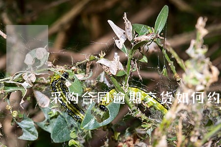 采购合同逾期交货如何约定 采购合同逾期交货如何约定