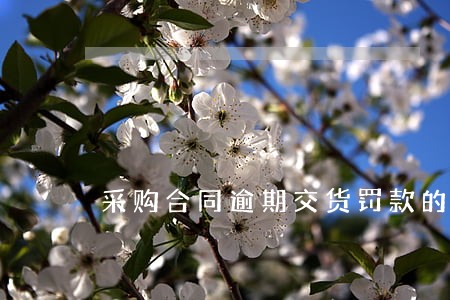 采购合同逾期交货罚款的表述