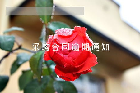 采购合同逾期通知