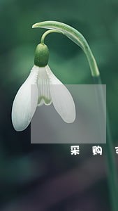 采购支付逾期违约条款 采购支付逾期违约条款