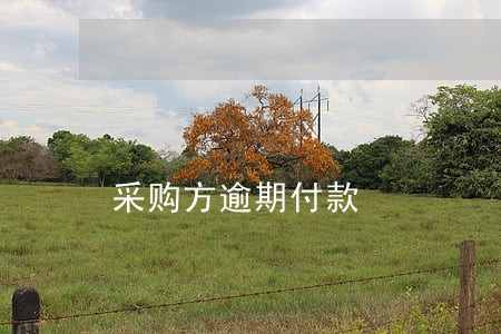 采购方逾期付款 采购方逾期付款