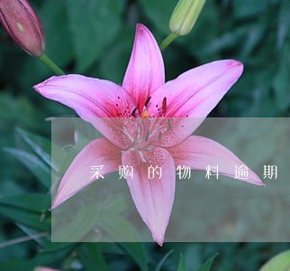 采购的物料逾期要怎么收违约金 采购的物料逾期要怎么收违约金
