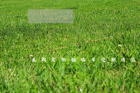 采购货物验收单逾期情况说明