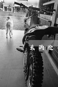采购逾期合同惩罚