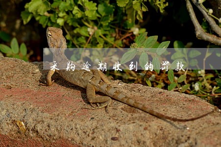 采购逾期收到的罚款