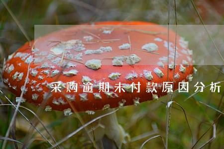 采购逾期未付款原因分析 采购逾期未付款原因分析