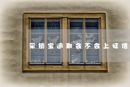 采销宝逾期会不会上征信 采销宝逾期会不会上征信