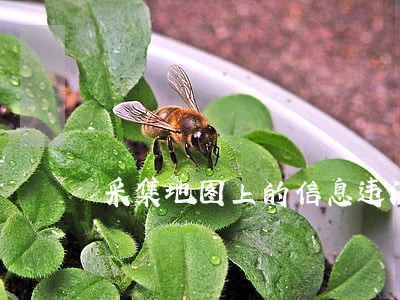 采集地图上的信息违法吗 采集地图上的信息违法吗