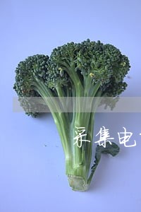 采集电话号码违法 采集电话号码违法