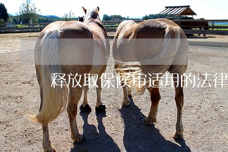 释放取保候审适用的法律条文 释放取保候审适用的法律条文