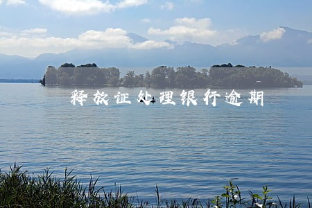 释放证处理银行逾期