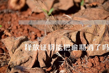 释放证明能把逾期消了吗