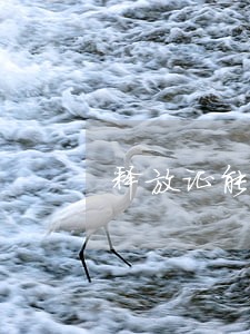 释放证能不能免逾期费用 释放证能不能免逾期费用