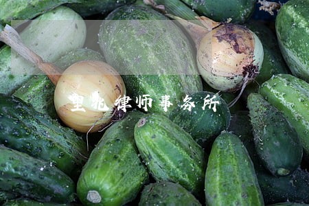 里兆律师事务所